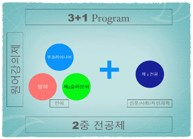 3+1 프로그램
